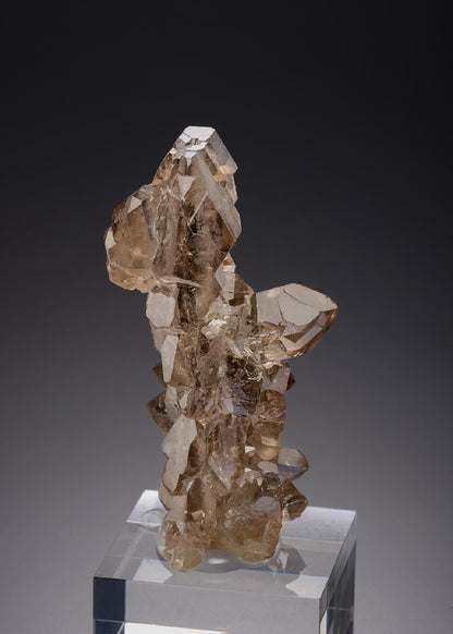 CC20414 specimen image
