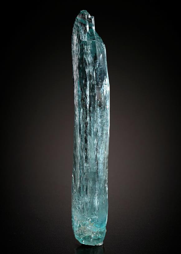 CC20420 specimen image