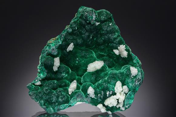 CC20435 specimen image