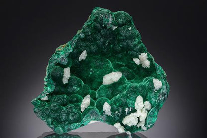 CC20435 specimen image