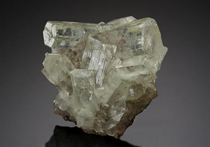CC20439 specimen image