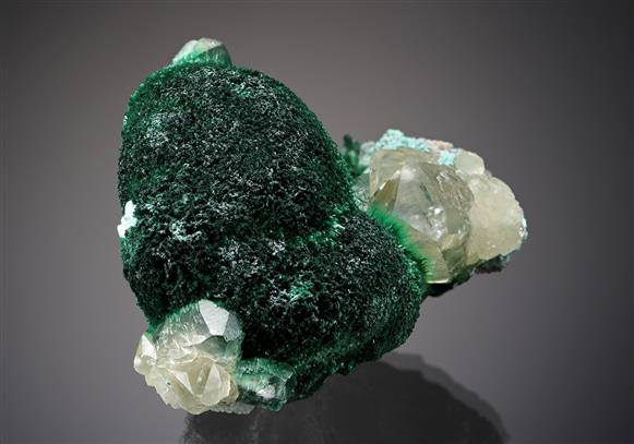 CC20445 specimen image