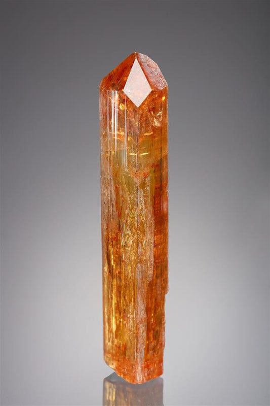 CC20456 specimen image