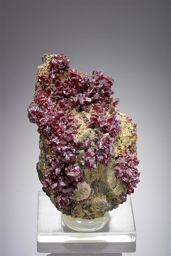 CC20459 specimen image