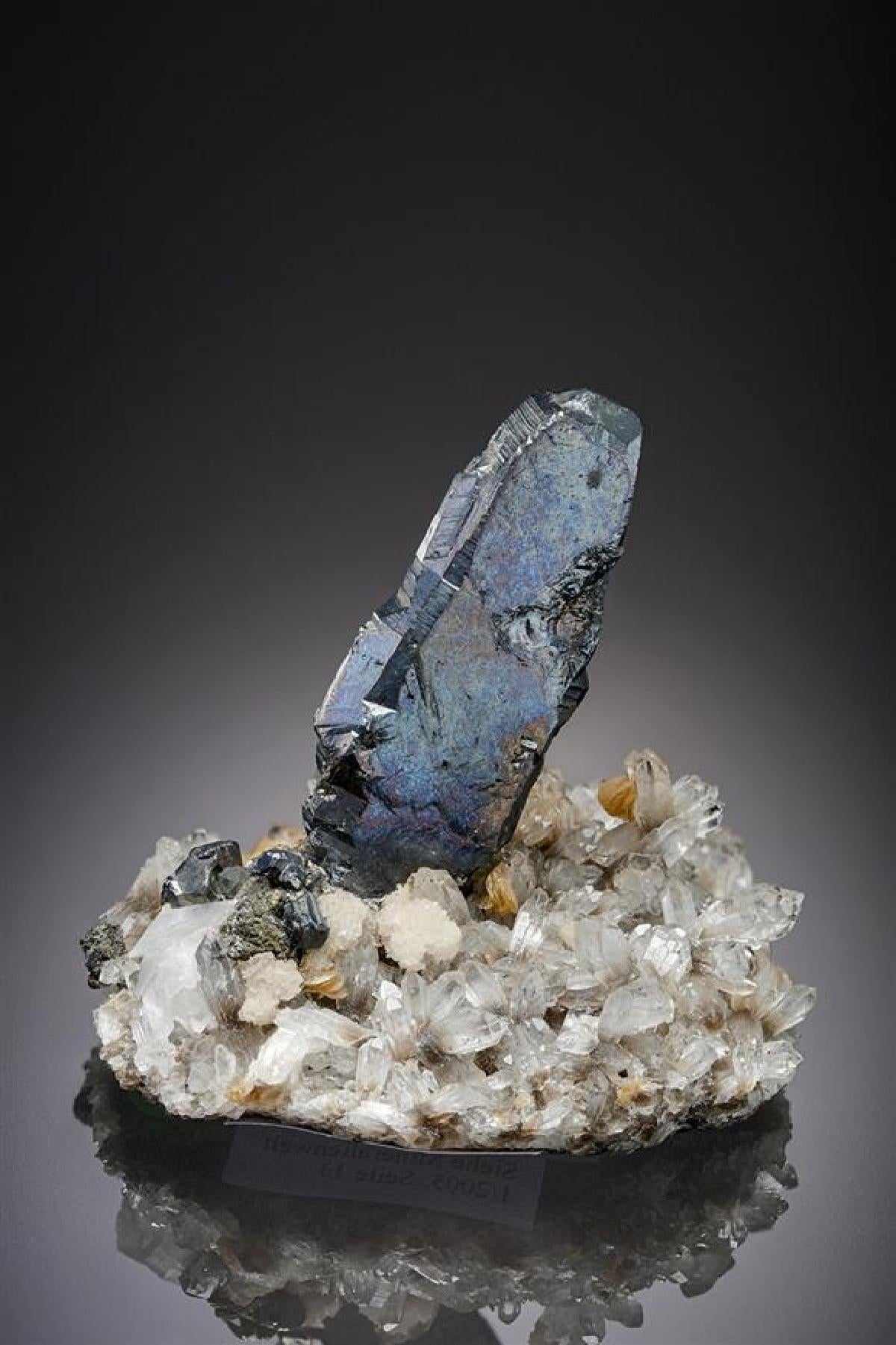 CC20461 specimen image