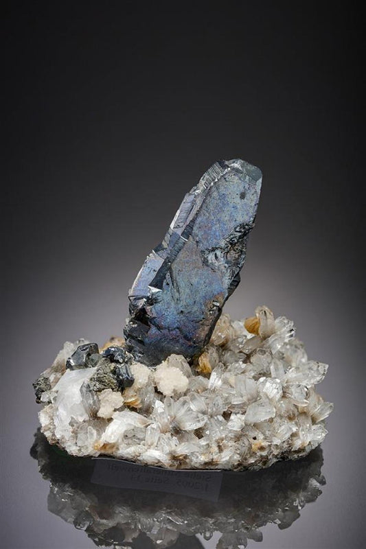 CC20461 specimen image