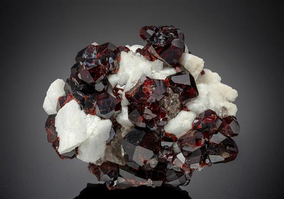 CC20465 specimen image