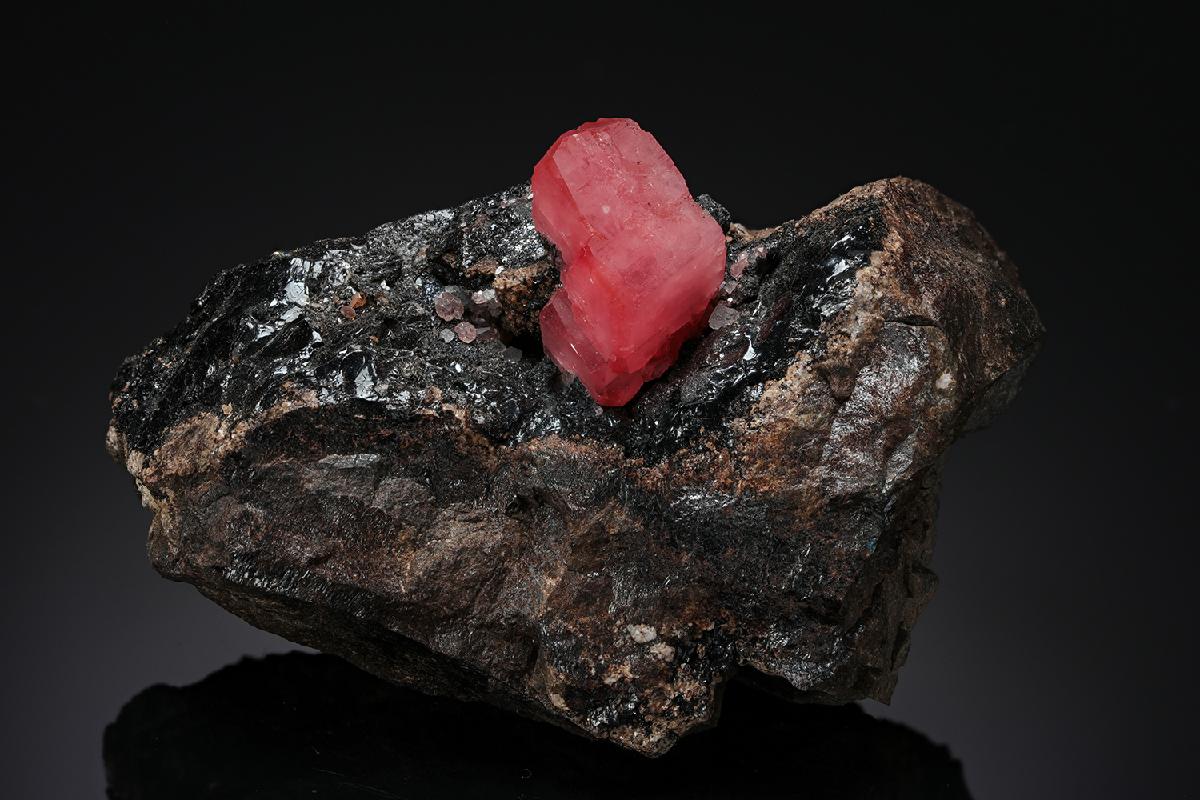 CC20474 specimen image