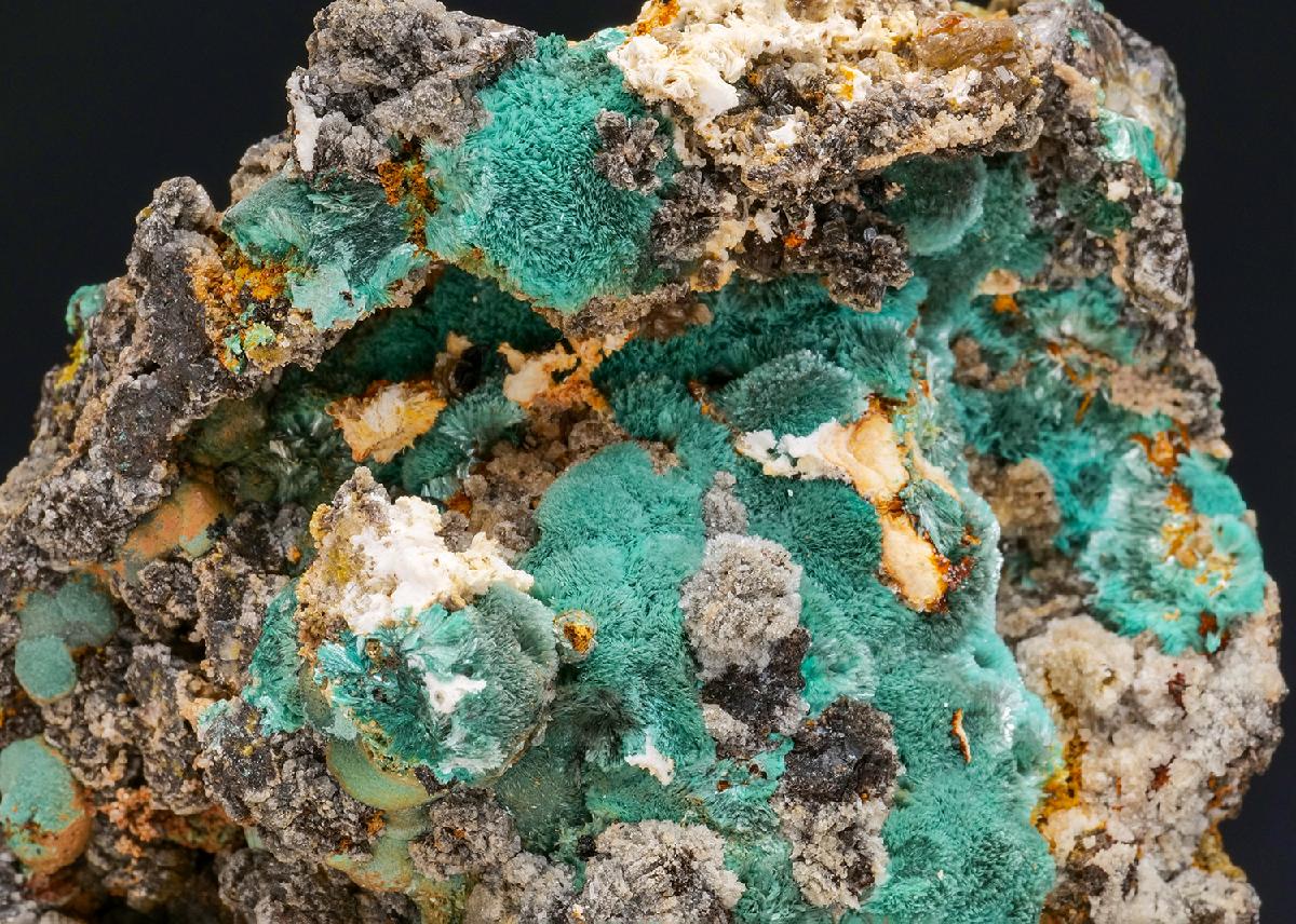 CC20478 specimen image
