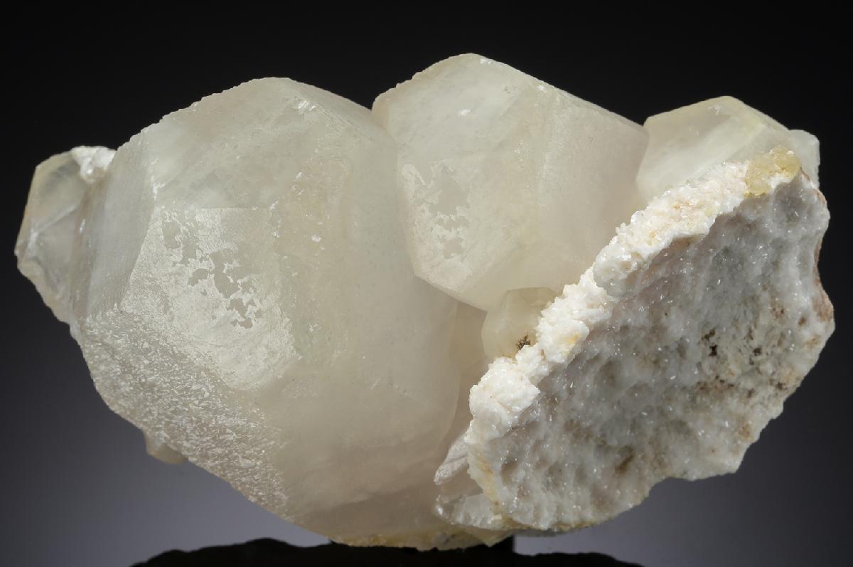 CC20484 specimen image