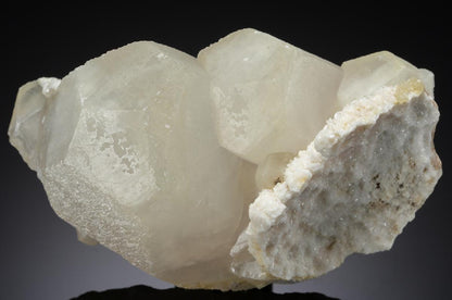 CC20484 specimen image