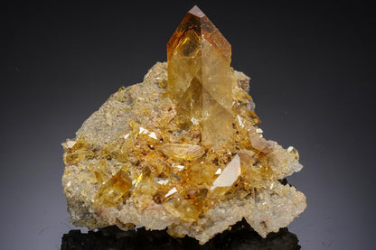 CC20485 specimen image