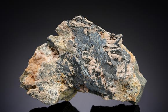 CC20492 specimen image