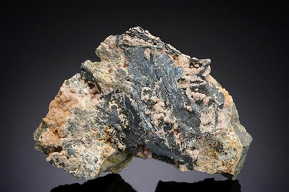 CC20492 specimen image