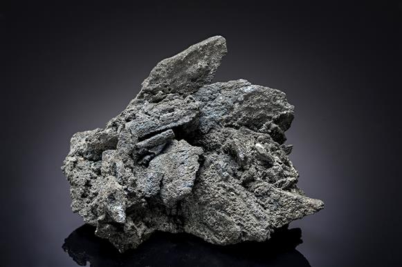 CC20494 specimen image