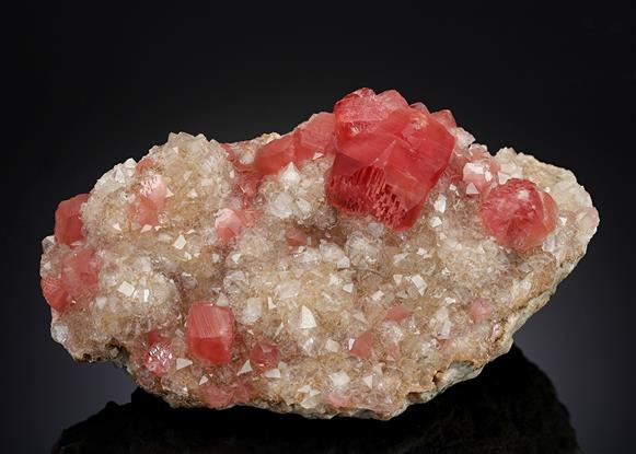 CC20498 specimen image