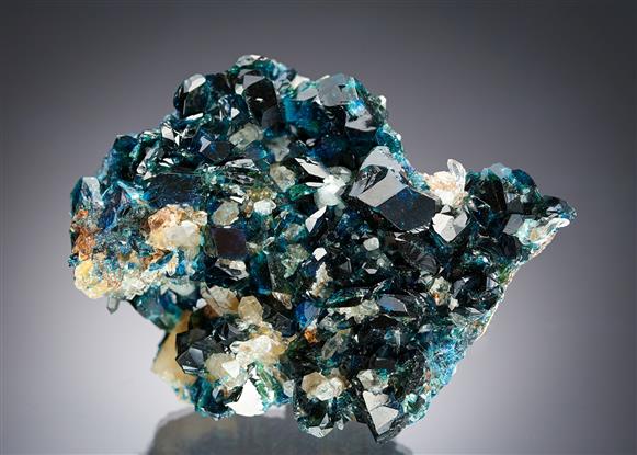 CC20500 specimen image