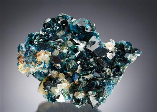 CC20500 specimen image