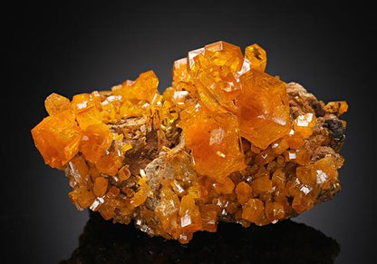 CC20515 specimen image