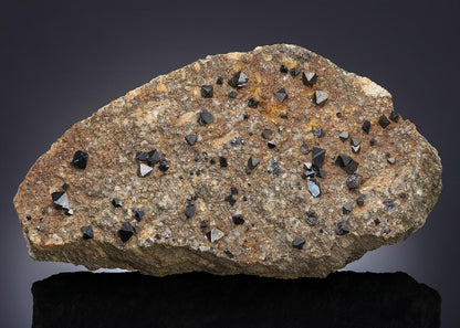 CC20524 specimen image