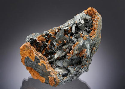 CC20526 specimen image