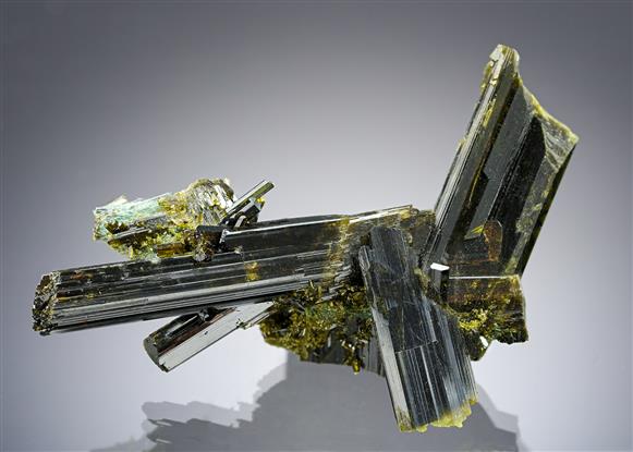 CC20528 specimen image