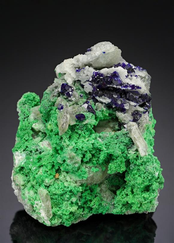 CC20532 specimen image
