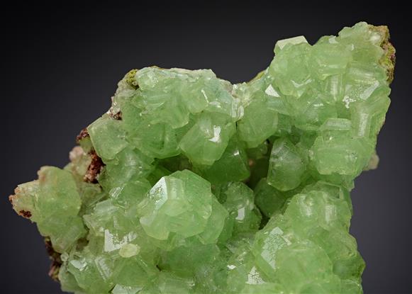 CC20534 specimen image