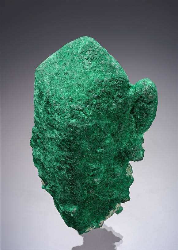 CC20537 specimen image