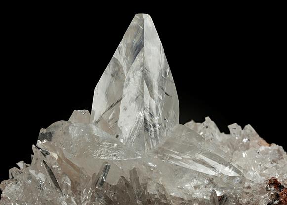 CC20544 specimen image