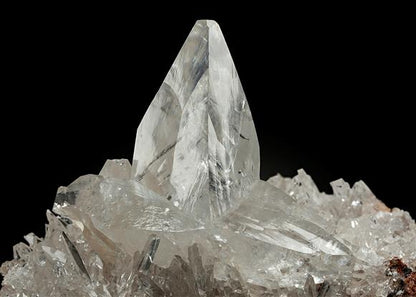 CC20544 specimen image