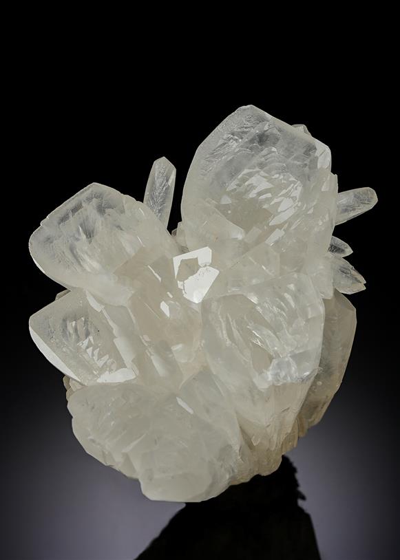 CC20545 specimen image