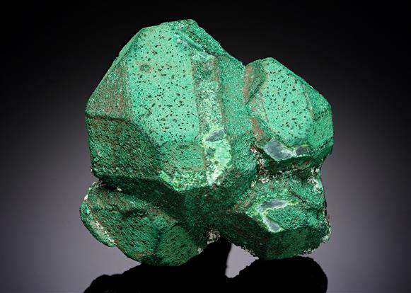 CC20550 specimen image