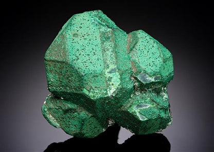 CC20550 specimen image