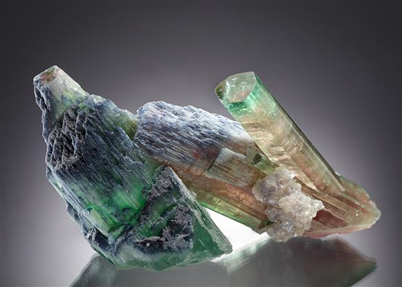 CC20646 specimen image