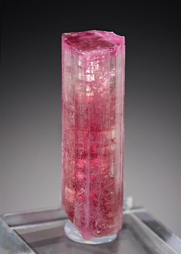CC20659 specimen image