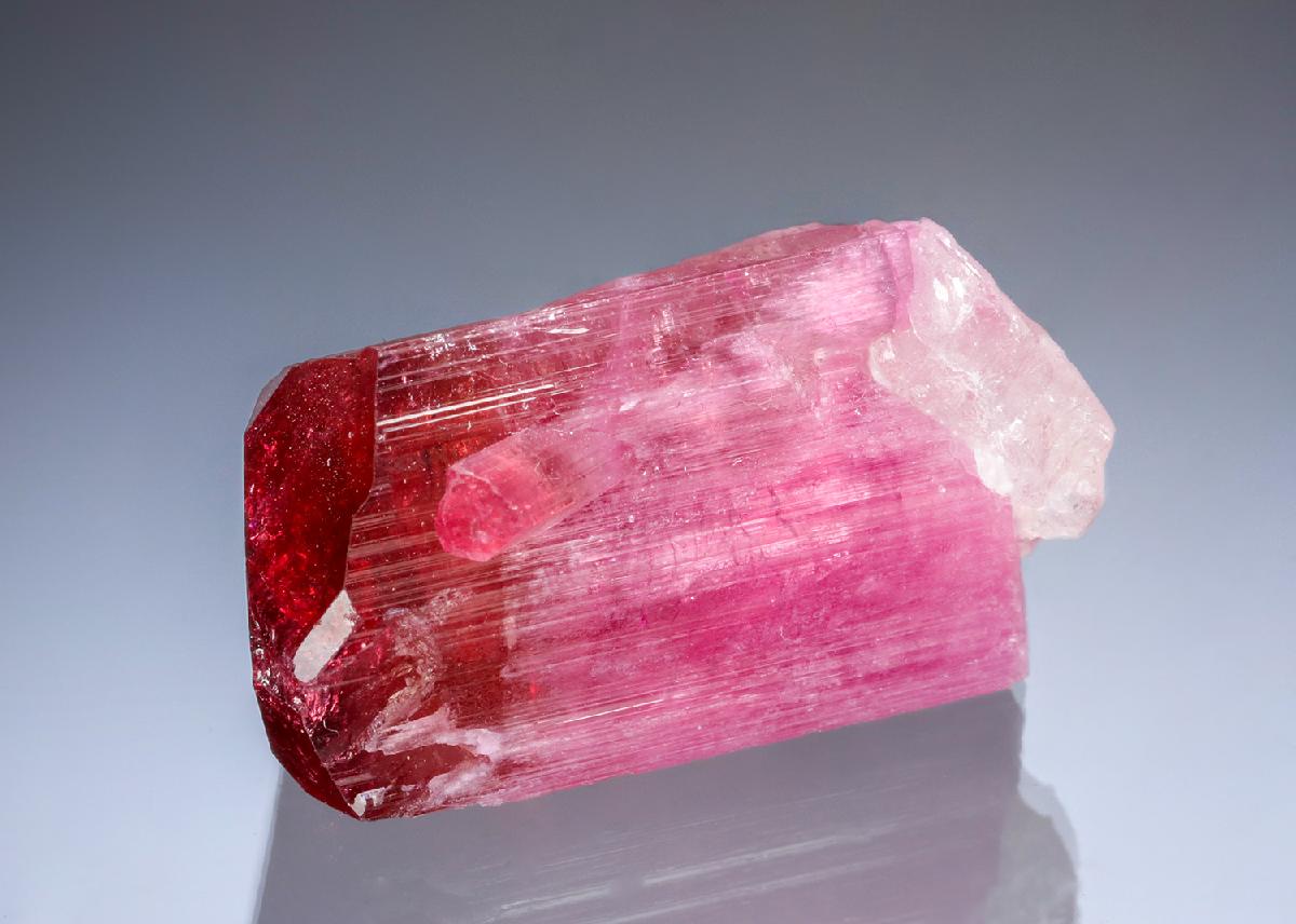CC20668 specimen image