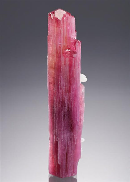 CC20678 specimen image