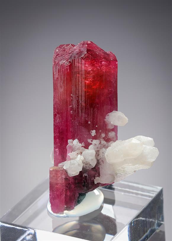 CC20679 specimen image