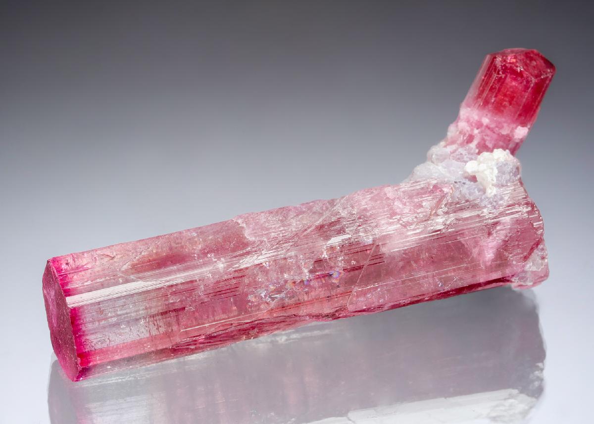 CC20693 specimen image