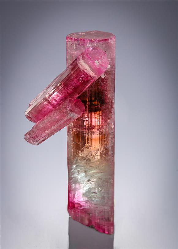 CC20721 specimen image