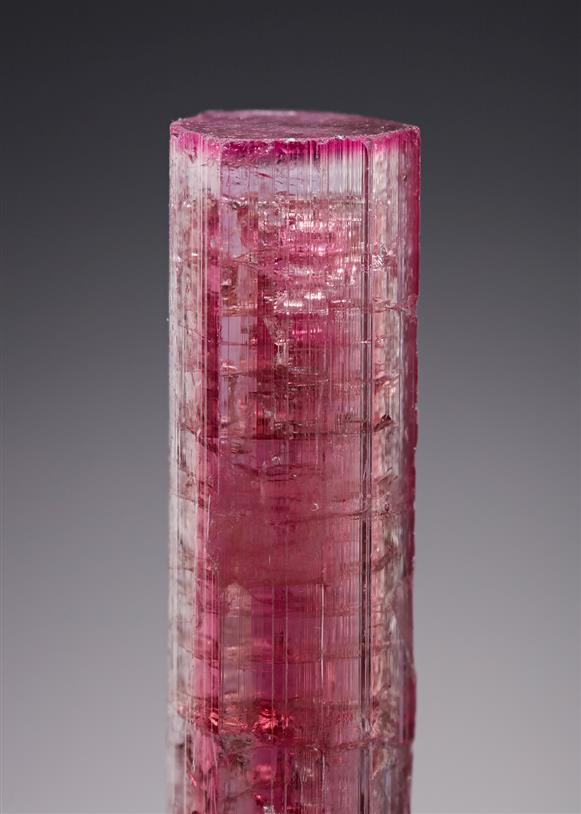CC20722 specimen image