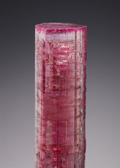 CC20722 specimen image
