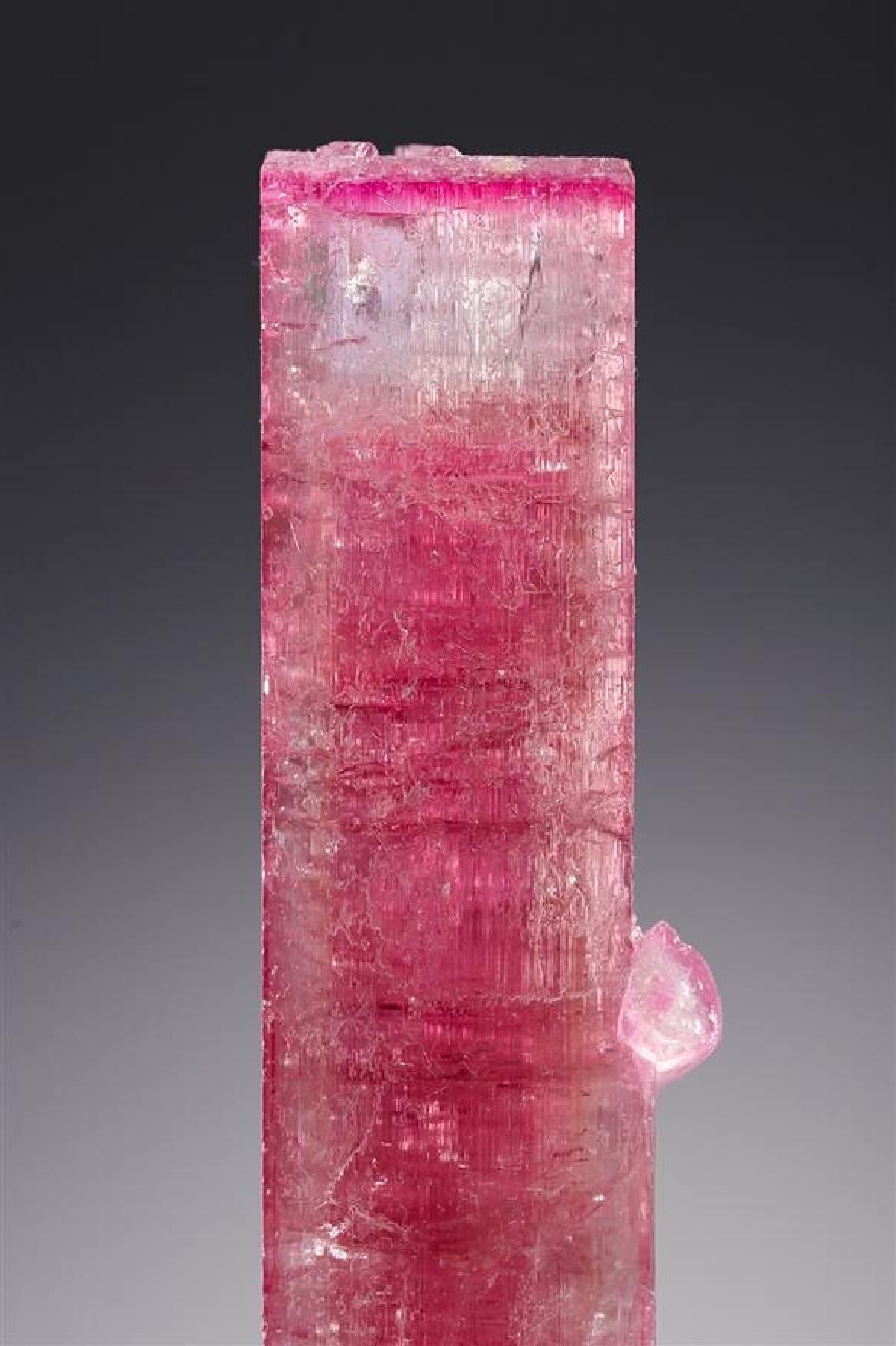 CC20723 specimen image