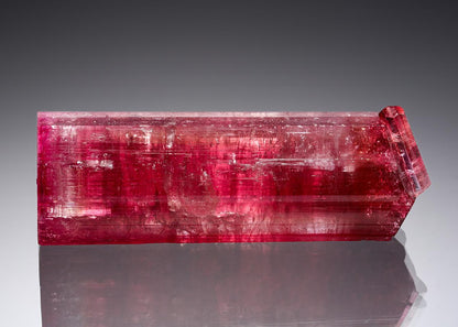 CC20724 specimen image