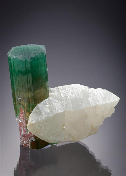 CC20746 specimen image