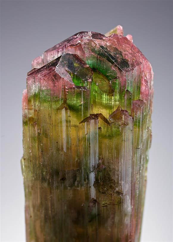 CC20748 specimen image