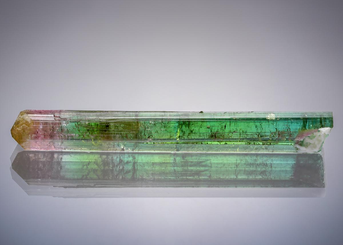 CC20750 specimen image