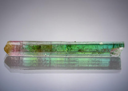 CC20750 specimen image