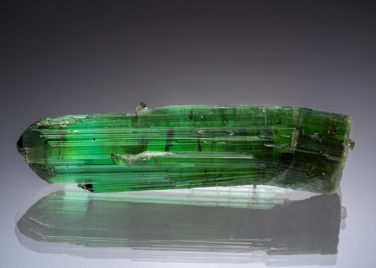 CC20754 specimen image